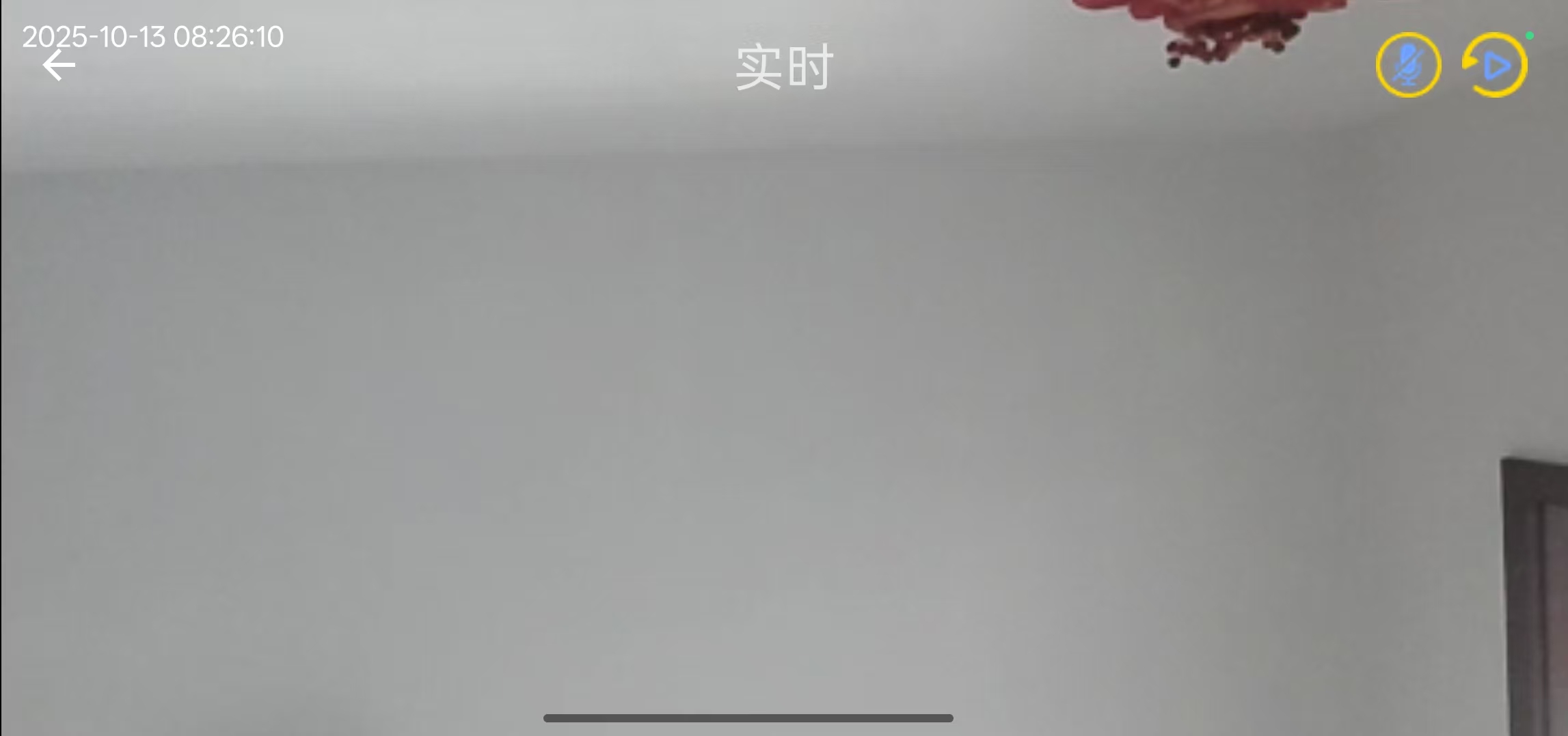实时视频